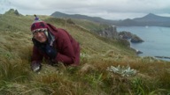 damnamenia vernicosa on sub-Antarctic Campbell Island